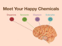 The Chemistry of Laughter: A Universal Language